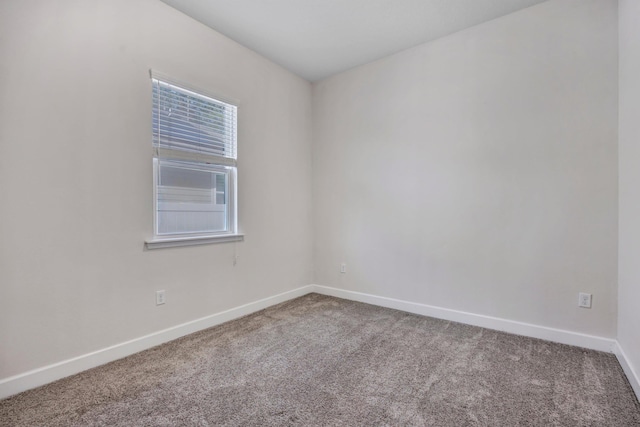 empty room featuring carpet