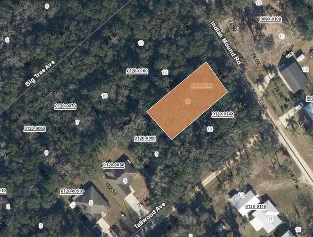 0 Indian Mound Rd, Satsuma, FL 32189 - photo 5