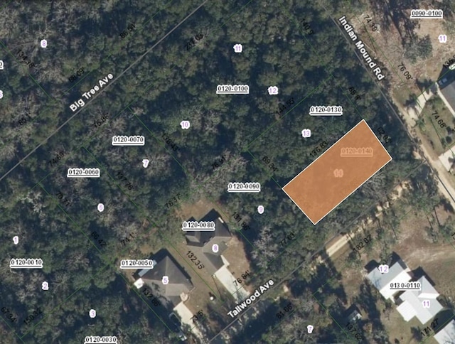 0 Indian Mound Rd, Satsuma, FL 32189 - photo 6