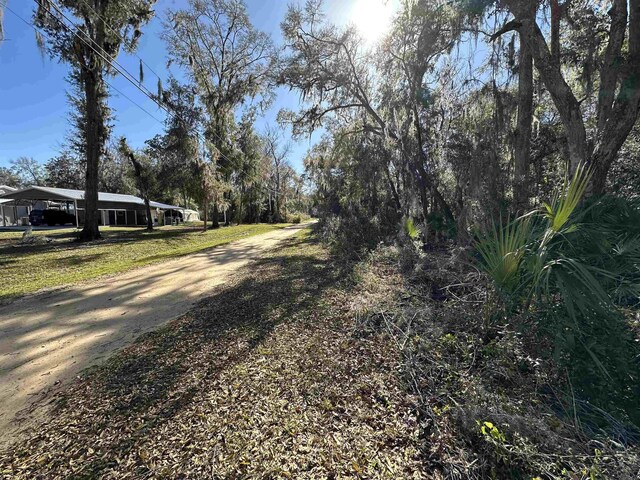 0 Indian Mound Rd, Satsuma, FL 32189 - photo 8