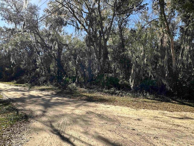 0 Indian Mound Rd, Satsuma, FL 32189 - photo 14