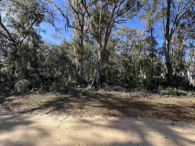 0 Indian Mound Rd, Satsuma, FL 32189 - photo 13