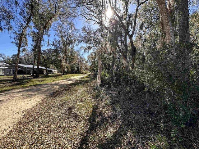 0 Indian Mound Rd, Satsuma, FL 32189 - photo 10