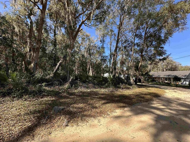 0 Indian Mound Rd, Satsuma, FL 32189 - photo 12