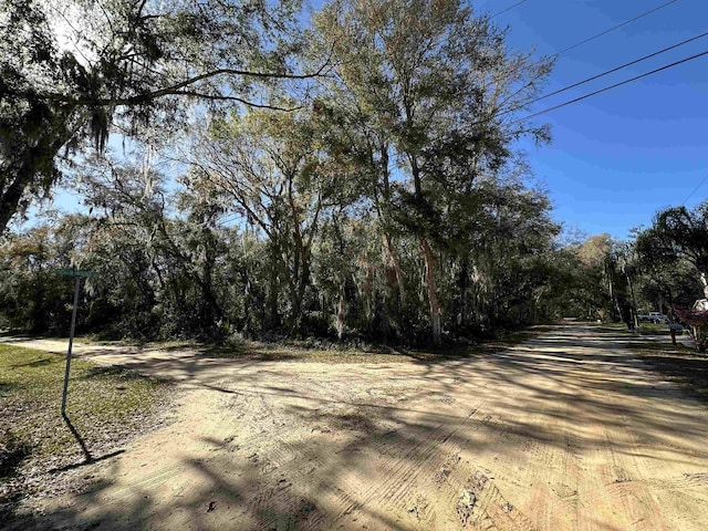 Listing photo 3 for 0 Indian Mound Rd, Satsuma FL 32189