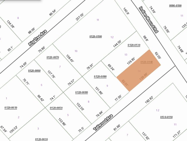 0 Indian Mound Rd, Satsuma, FL 32189 - photo 7
