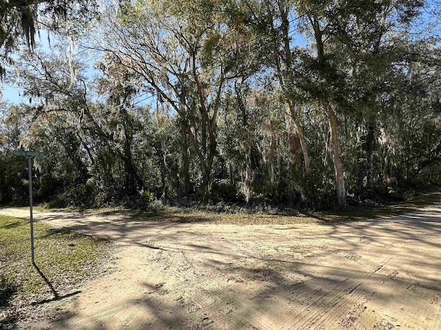 0 Indian Mound Rd, Satsuma, FL 32189 - photo 16
