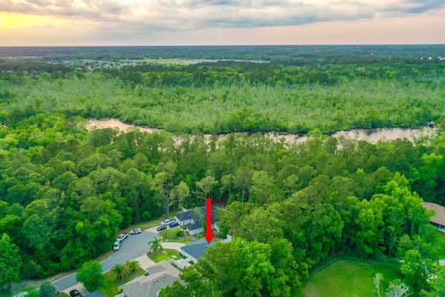 7503 Caravaca Ct, Jacksonville, FL 32244 - aerial view at dusk of a forest view