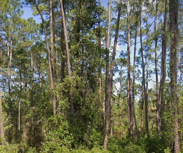 304 Rosewood St, Georgetown, FL 32139 - photo 1