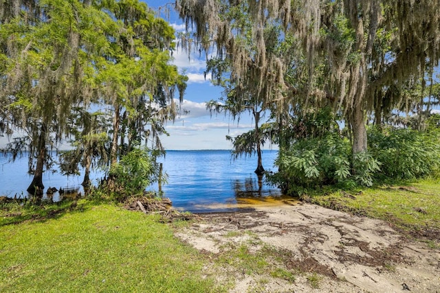 142 Williams Park Rd, Green Cove Springs, FL 32043 - photo 29