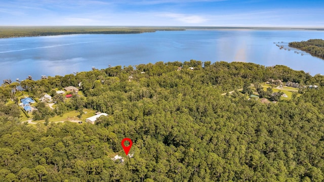 142 Williams Park Rd, Green Cove Springs, FL 32043 - photo 7