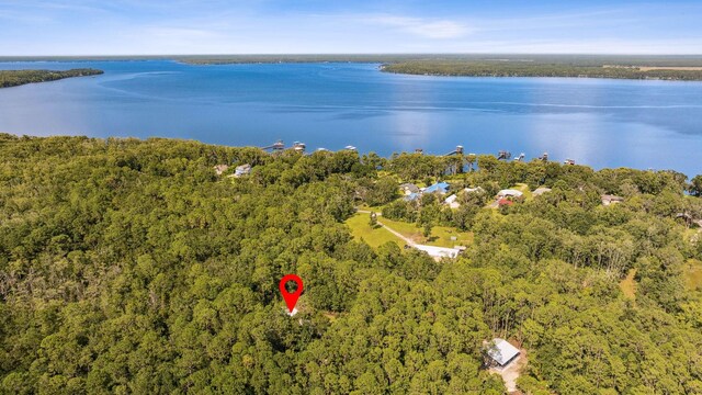 142 Williams Park Rd, Green Cove Springs, FL 32043 - photo 6
