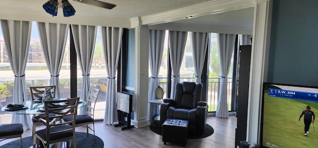 2 Dondanville Rd Unit 216, Saint Augustine Beach, FL 32080 - sitting room with plenty of natural light, wood finished floors, ceiling fan, and a textured ceiling