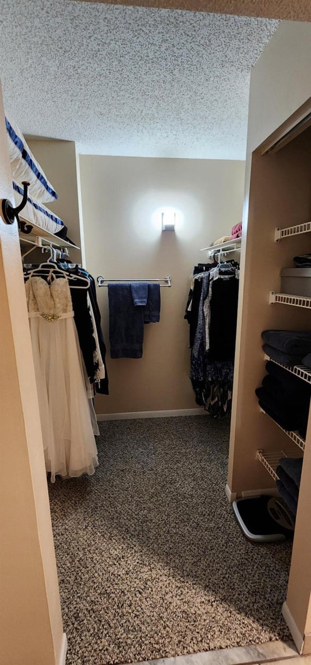 2 Dondanville Rd Unit 216, Saint Augustine Beach, FL 32080 - spacious closet featuring carpet flooring