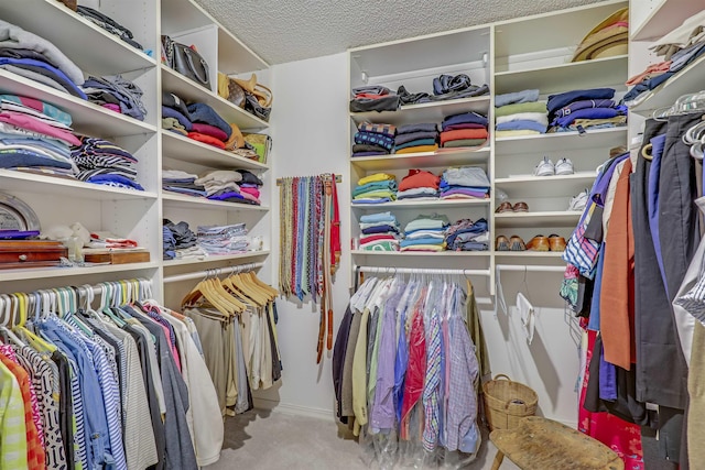 1 Sandpiper Cv, Ponte Vedra Beach, FL 32082 - walk in closet with carpet flooring
