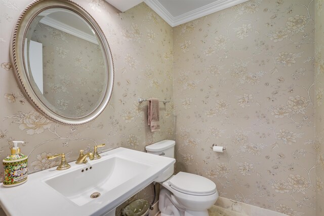 1 Sandpiper Cv, Ponte Vedra Beach, FL 32082 - bathroom featuring a sink and crown molding