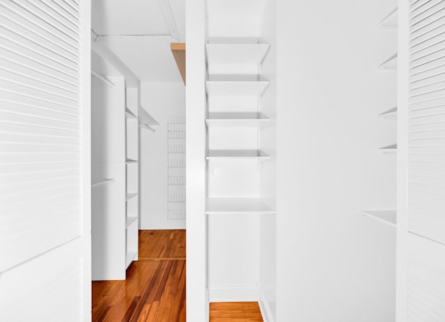 walk in closet featuring hardwood / wood-style floors