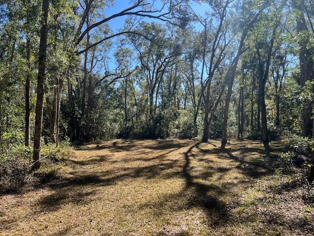 211 NE 385th Ave, Old Town, FL 32680 - photo 5