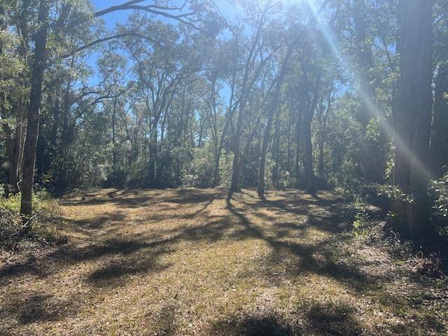 211 NE 385th Ave, Old Town, FL 32680 - photo 7