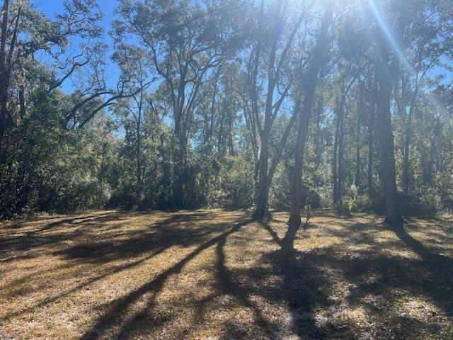 211 NE 385th Ave, Old Town, FL 32680 - photo 8