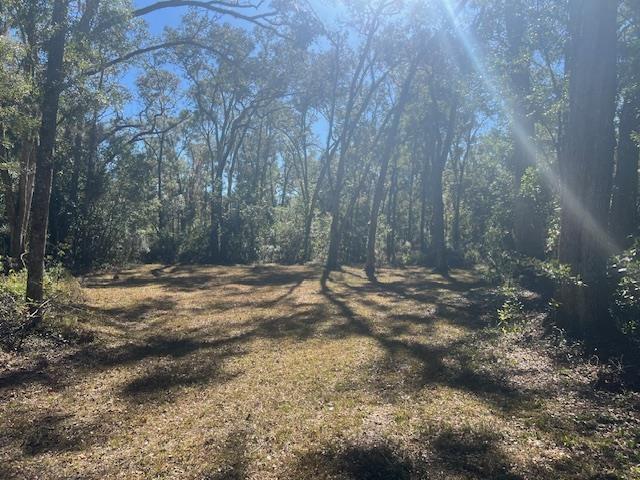 211 NE 385th Ave, Old Town, FL 32680 - photo 6