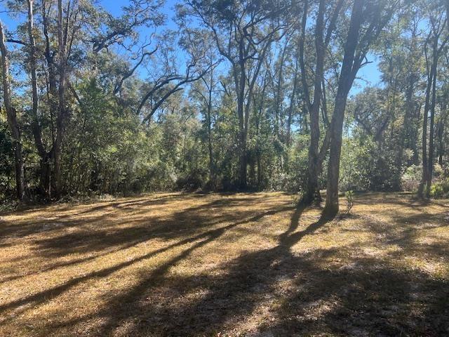 211 NE 385th Ave, Old Town, FL 32680 - photo 2