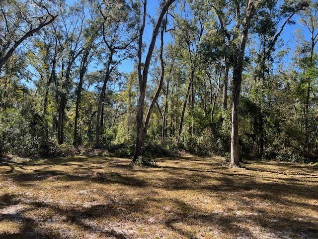 211 NE 385th Ave, Old Town, FL 32680 - photo 3
