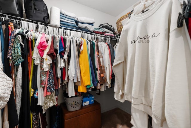 view of spacious closet