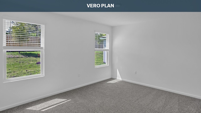 carpeted spare room with a wealth of natural light