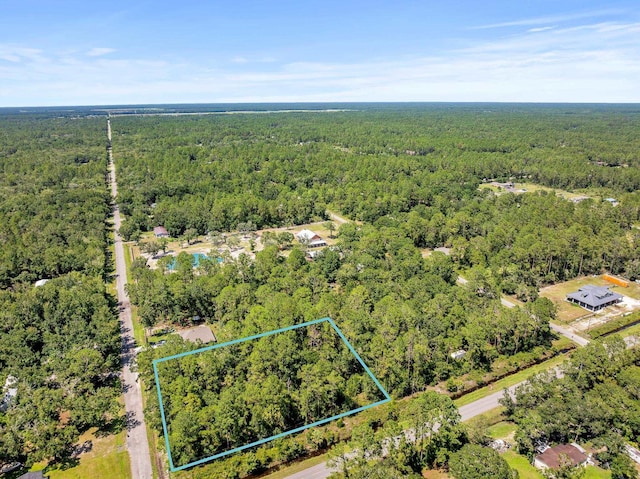 4560 Cedar Ford Blvd, Hastings, FL 32145 - photo 21
