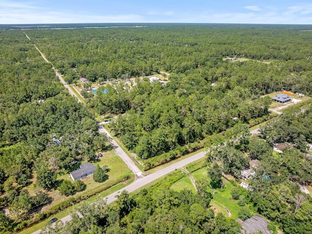 4560 Cedar Ford Blvd, Hastings, FL 32145 - photo 3