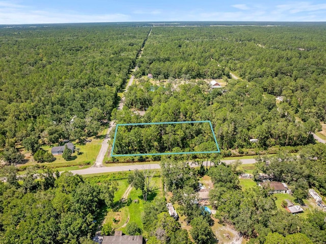 4560 Cedar Ford Blvd, Hastings, FL 32145 - photo 4