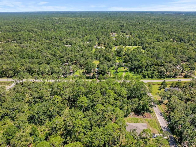 4560 Cedar Ford Blvd, Hastings, FL 32145 - photo 11