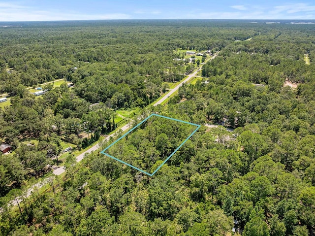 4560 Cedar Ford Blvd, Hastings, FL 32145 - photo 9