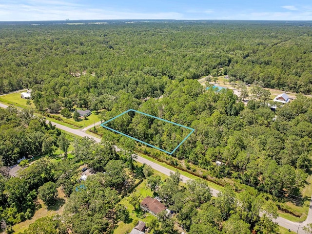 4560 Cedar Ford Blvd, Hastings, FL 32145 - photo 6