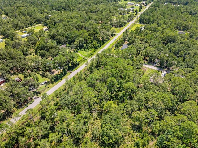 4560 Cedar Ford Blvd, Hastings, FL 32145 - photo 17