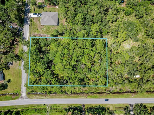 4560 Cedar Ford Blvd, Hastings, FL 32145 - photo 1