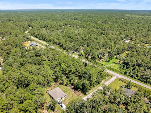 4560 Cedar Ford Blvd, Hastings, FL 32145 - photo 12