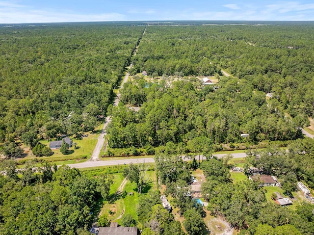 4560 Cedar Ford Blvd, Hastings, FL 32145 - photo 5
