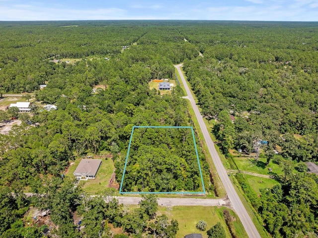4560 Cedar Ford Blvd, Hastings, FL 32145 - photo 13