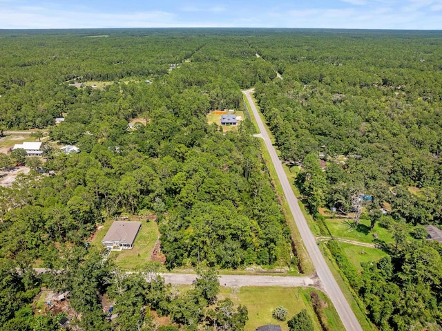 4560 Cedar Ford Blvd, Hastings, FL 32145 - photo 14