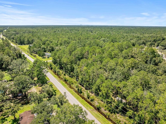 4560 Cedar Ford Blvd, Hastings, FL 32145 - photo 16