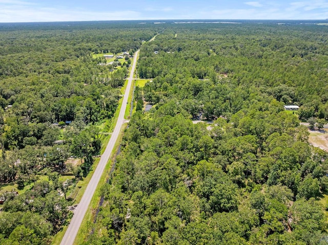 4560 Cedar Ford Blvd, Hastings, FL 32145 - photo 8