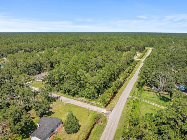 4560 Cedar Ford Blvd, Hastings, FL 32145 - photo 15