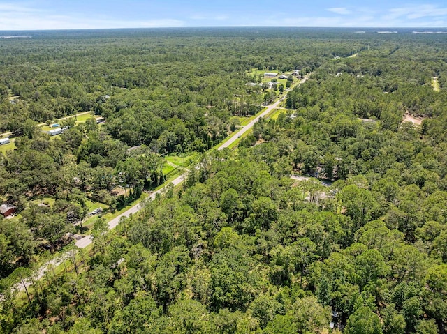 4560 Cedar Ford Blvd, Hastings, FL 32145 - photo 10