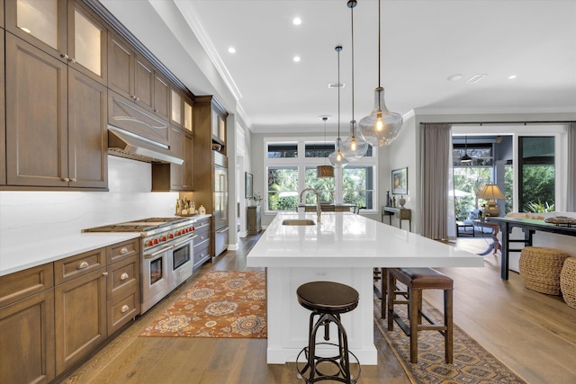 kitchen featuring a sink, a healthy amount of sunlight, crown molding, double oven range, and a kitchen island with sink