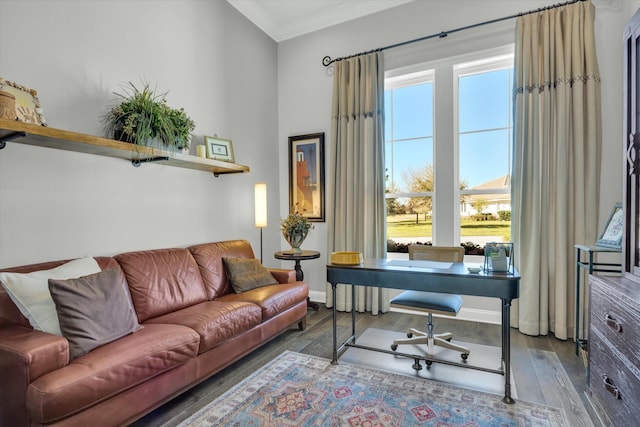 office area featuring crown molding, plenty of natural light, and wood finished floors