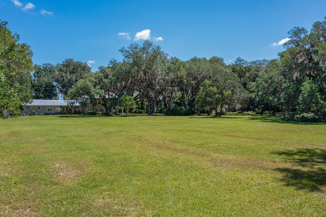 105 Union Ave, Crescent City, FL 32112 - photo 50