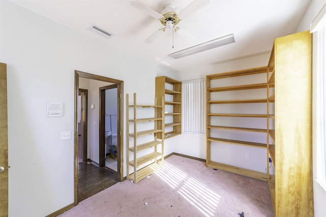 storage room with ceiling fan