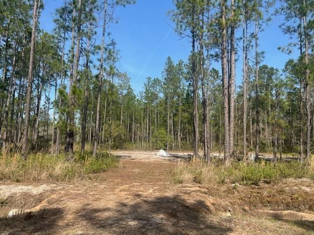 10730 Allison Ave, Hastings FL, 32145 land for sale